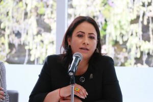 Dip. Verónica Hernández 4