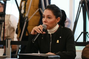 foto2 Dip. Ma. Concepción Herrera