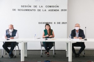 Comisión Agenda 2030 1