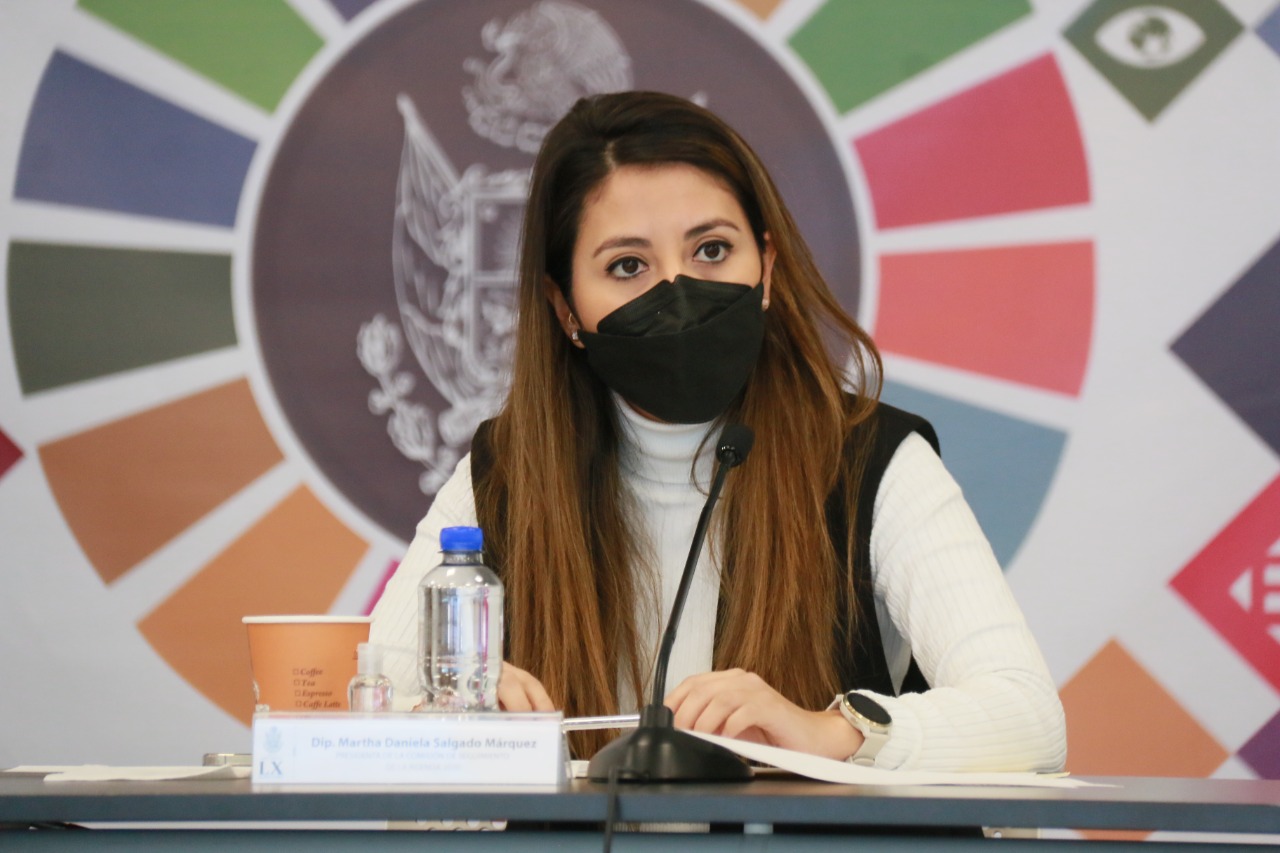 Comisión De Seguimiento De La Agenda 2030 Aprueba Dictamen Conjunto De Iniciativas De Exhorto 9503