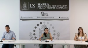 Comisión de Gobernación 3