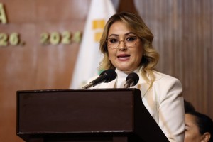 Diputada Claudia Díaz Gayou