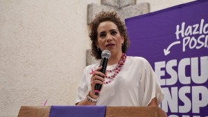 Diputada Adriana Meza 2