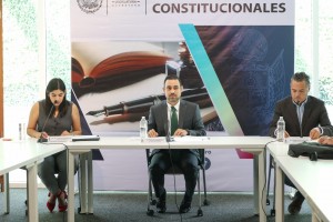 Puntos Constitucionales 4