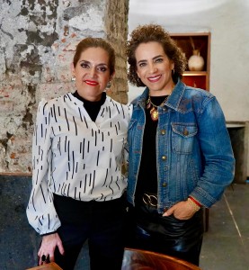 Diputada Adriana Meza 2