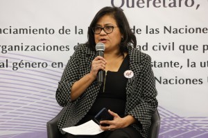 Diputada Andrea Tovar 2