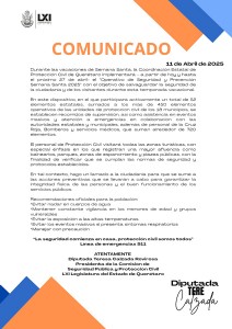 Comunicado Diputada Tere Calzada