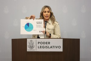 Diputada Andrea Tovar 1