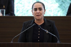 Diputada Tere Calzada 1