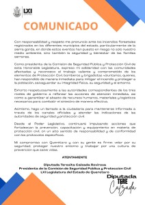 WhatsApp Image 2025-04-07 at 2.27.21 PM