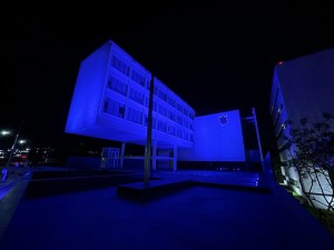 bf475191-5af0-4e35-8601-9d92bee71183