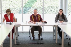 Comisión de Gobernación 1