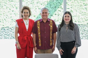 Comisión de Gobernación 4