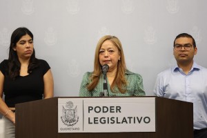 Diputada Verónica Galicia 2