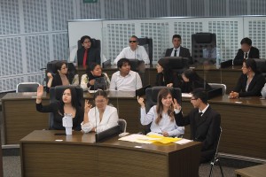 Diputada Adriana Meza 2