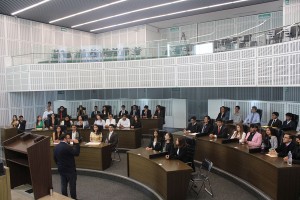 Diputada Adriana Meza 3