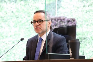 Segunda Sesión de Pleno 2