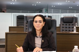 Diputada Teresita Calzada Rovirosa