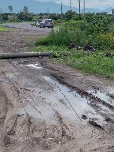 PHOTO-2025-07-03-14-17-54