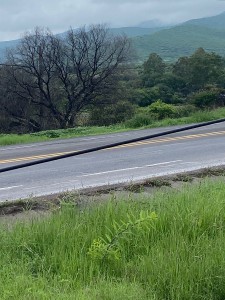 PHOTO-2025-07-03-14-17-54_1