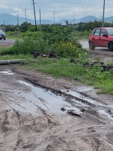 PHOTO-2025-07-03-14-17-54_3