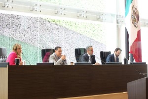 Segunda Sesión de Pleno 2