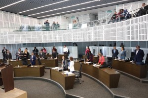 Segunda Sesión de Pleno 3