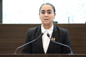 Diputada Teresita Calzada Rovirosa