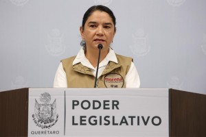 Reforma a la ley de prestación de servicios 4