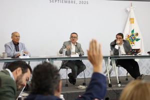 Comparecencia Desarrollo Urbano 4