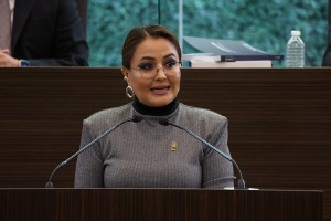 Diputada Claudia Díaz Gayou