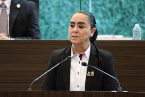 Diputada Teresita Calzada Rovirosa
