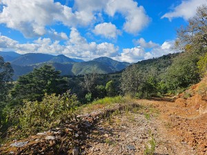 PHOTO-2025-10-17-14-21-15