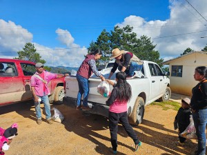 PHOTO-2025-10-17-14-21-15_1