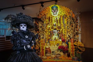 WhatsApp Image 2025-10-27 at 11.13.41 AM