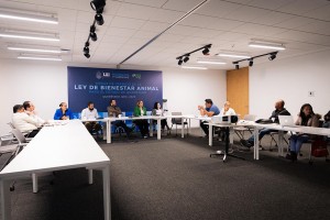 PHOTO-2025-11-27-18-38-20_1