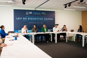 PHOTO-2025-11-27-18-38-20_2