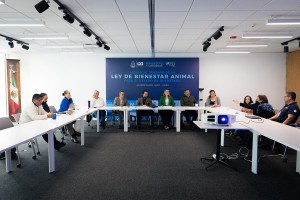 PHOTO-2025-11-27-18-38-20_3