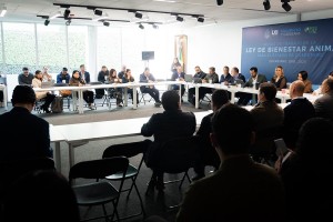 PHOTO-2025-12-05-13-20-50_1