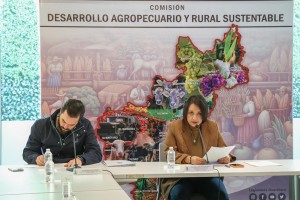 Comisión de Desarrollo Agropecuario 1