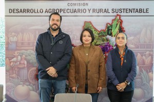 Comisión de Desarrollo Agropecuario 2