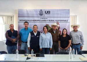 Diputada Sully Mauricio 2