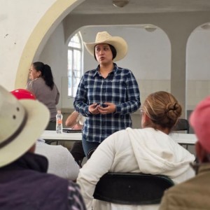 WhatsApp Image 2026-03-26 at 14.32.52