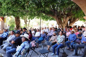 86dd8e79-1e3a-4588-a37a-f2ff37a81db0