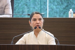 DIP. BLANCA BENÍTEZ1