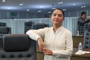 DIP. BLANCA BENÍTEZ2