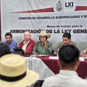 PHOTO-2026-04-09-13-01-09