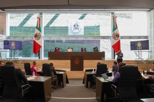 Sesión de Pleno 4