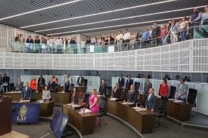 Sesión de Pleno 5