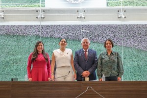 Sesión de Pleno 9